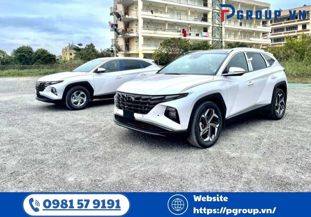 Việc lựa chọn taxi Hải Phòng Nội Bài trọn gói đang trở thành giải pháp tối ưu được đông đảo khách hàng lựa chọn.