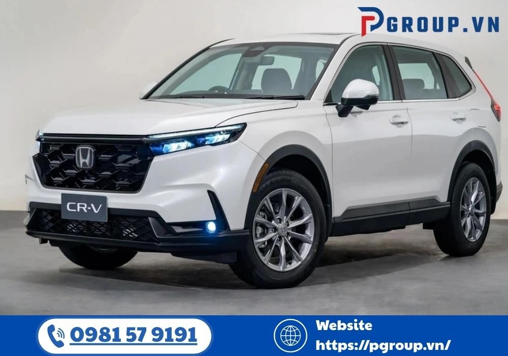 CÔNG TY TNHH VẬN TẢI PHONG NGÂN DƯƠNG là một lựa chọn được đánh giá cao nhờ hệ thống vận hành chuyên nghiệp, đặc biệt với dịch vụ taxi Nội Bài cam kết đưa đón đúng giờ, đúng điểm, đúng tuyến.