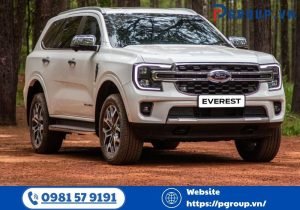 Với những ai đang cần di chuyển giữa Hải Phòng và Nội Bài, dịch vụ taxi Hải Phòng Nội Bài của CÔNG TY TNHH VẬN TẢI PHONG NGÂN DƯƠNG là lựa chọn không thể bỏ qua.