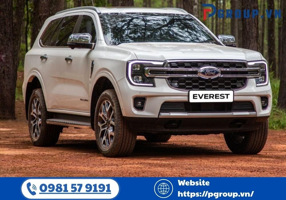 Với những ai đang cần di chuyển giữa Hải Phòng và Nội Bài, dịch vụ taxi Hải Phòng Nội Bài của CÔNG TY TNHH VẬN TẢI PHONG NGÂN DƯƠNG là lựa chọn không thể bỏ qua.