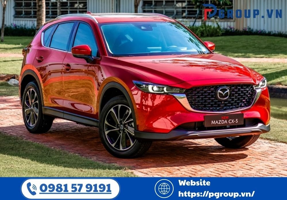 Dù bạn là người đã từng di chuyển nhiều hay lần đầu tiên đặt xe tuyến Thanh Hoá – Nội Bài, bài viết này cũng sẽ mang lại cho bạn giá trị thực tế, thiết thực và đầy đủ thông tin nhất để hành trình ra sân bay của bạn trở nên dễ dàng hơn bao giờ hết.