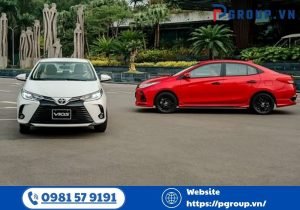 ÔNG TY TNHH VẬN TẢI PHONG NGÂN DƯƠNG, nơi cung cấp dịch vụ minh bạch, tài xế chuyên nghiệp, xe chất lượng cao, đi kèm mức giá hợp lý, cùng với cam kết an toàn trong từng chặng đường