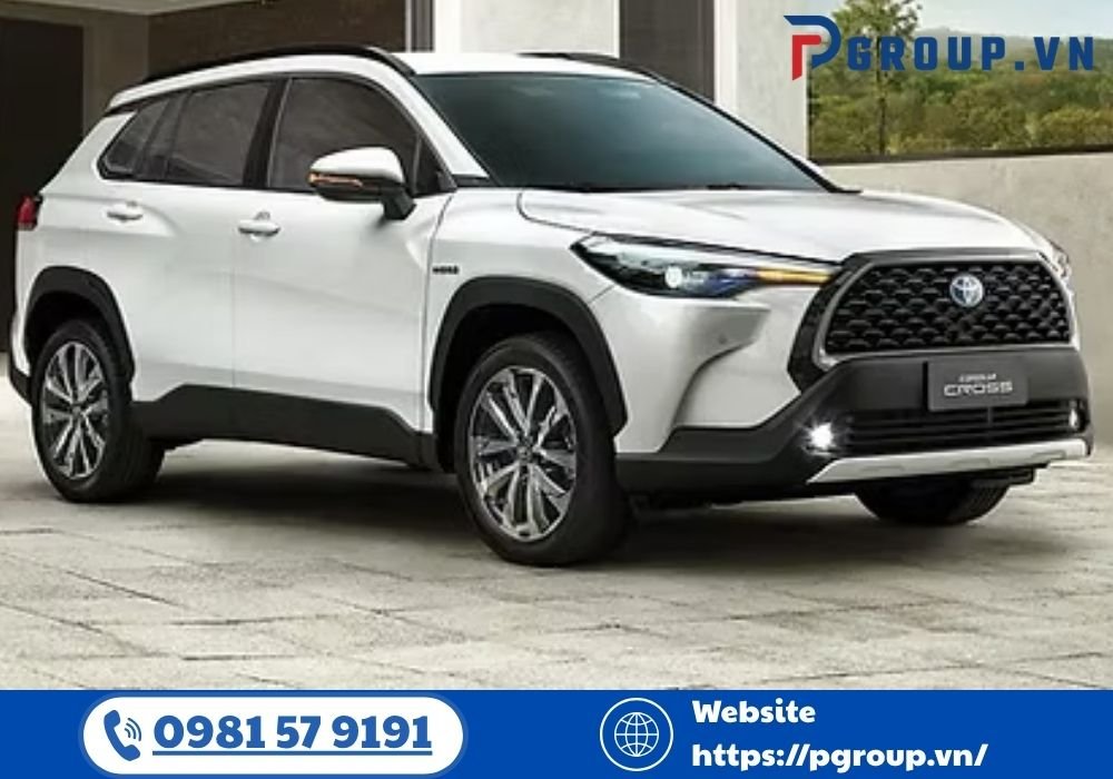 CÔNG TY TNHH VẬN TẢI PHONG NGÂN DƯƠNG – đơn vị cung cấp giải pháp di chuyển thông minh, minh bạch, được đánh giá cao từ khách hàng cá nhân đến doanh nghiệp.